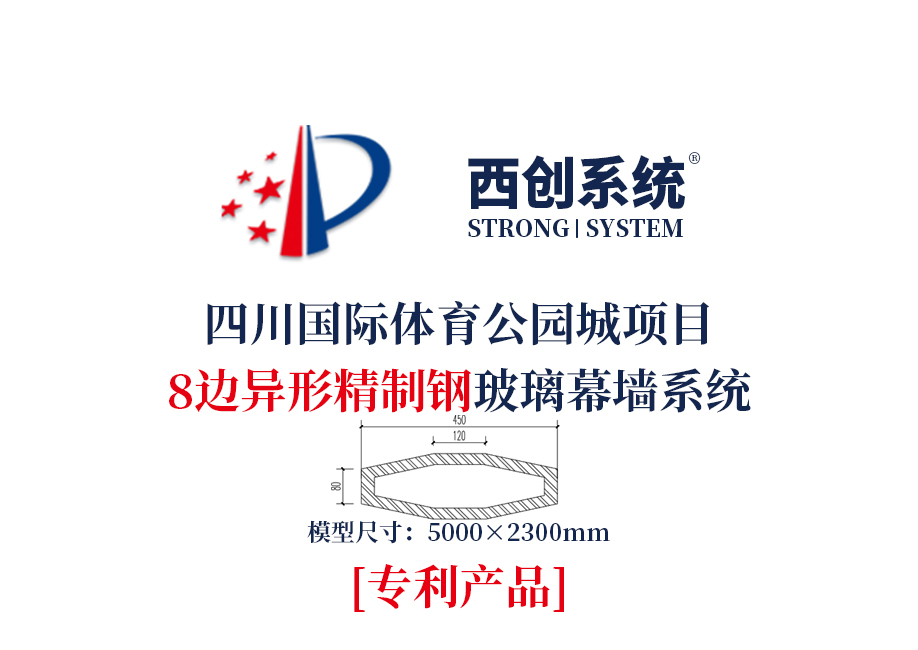 T、重慶某項(xiàng)目圖紙深化.jpg