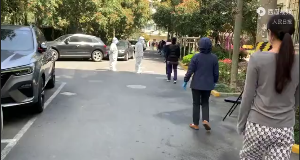 “謝謝各地大白”！史無前例上海核酸大篩查“謝”幕(圖2)