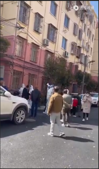 “謝謝各地大白”！史無前例上海核酸大篩查“謝”幕(圖4)
